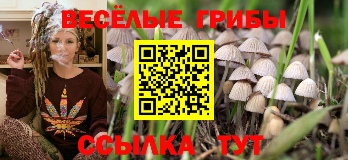 Псилоцибиновые грибы Magic Shrooms  Вход с VPN  купить наркоту  Сорочинск 
